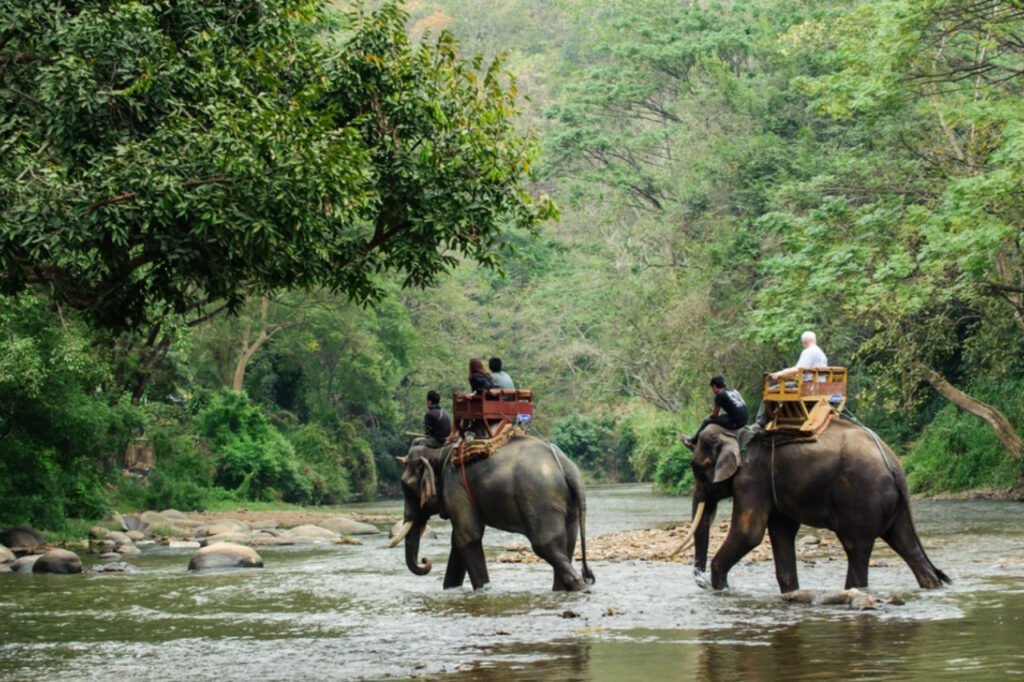 4 Night 5 Days Dooars Tour Package